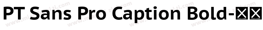 PT Sans Pro Caption Bold字体转换